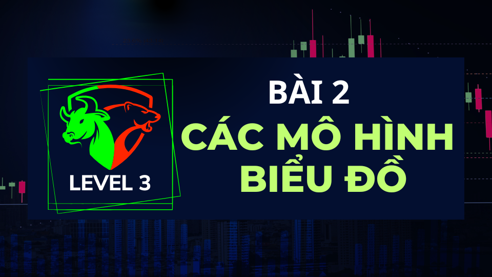 LEVEL 3-BÀI 2: CÁC MÔ HÌNH BIỂU ĐỒ