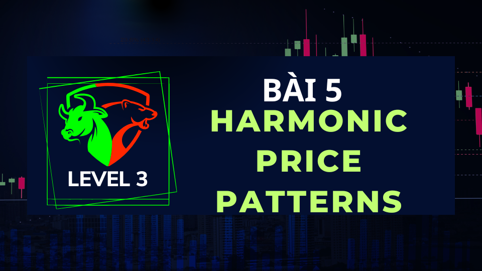 LEVEL 3- BÀI 5: HARMONIC PRICE PATTERNS